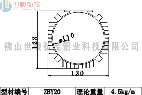 ZBY20 ZBY20